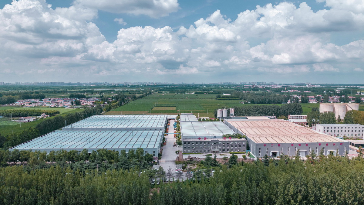 1698977051692045.jpg 111.jpg